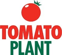 Tomato plant company ltd