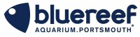 Blue reef aquarium