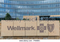 Wellmark blue cross and blue shield