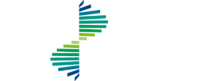 First network limited