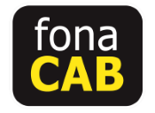 Fonacab (belfast) limited
