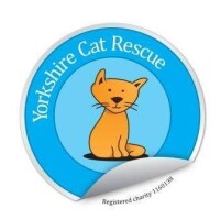 Yorkshire cat rescue