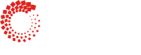 Bayram timber limited