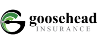 Goosehead insurance agency