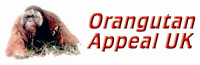 Orangutan appeal uk