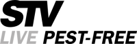 Stv international ltd