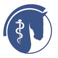 British equine veterinary association