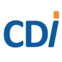 Cd international bse