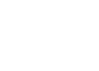 Domestic bliss ironing and cleaning