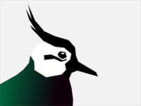 Lapwing education