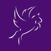 Pegasus search & selection