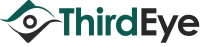 Thirdeye consulting