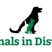 Animals in distress (torbay and westcountry)