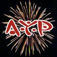 Ansar youth project