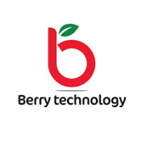 Berrys, chartered accountants