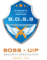 Boss security services
