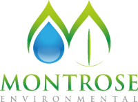 Mountrose ltd