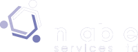 N-able services ltd