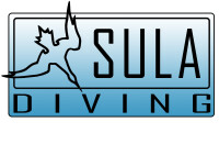 Sula diving