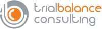 Trial balance consulting