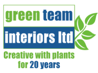 Green team interiors ltd