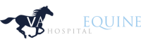 Valley equine hospital lambourn limited