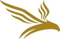 Ae insurance group