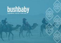 Bushbaby travel ltd