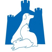 Castle vets pet healthcare limited
