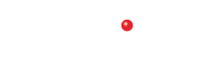 Adept security systems limited