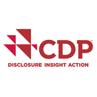 Cdp leadership consultants