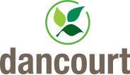 Dancourt limited