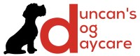 Duncans doggy daycare