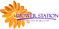 Flower station ltd.