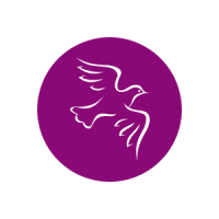 Got capital uk