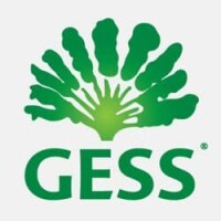 Gess productions