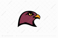 Hawk safety