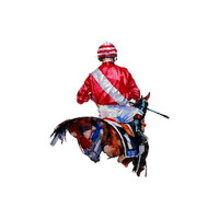 The horse & jockey congerstone