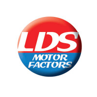 Lds motor factors