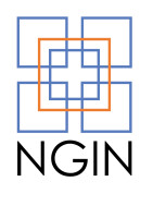 Next generation insurance network (ngin)