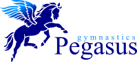 Pegasus gymnastics club limited
