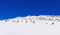 Performance verbier ski school