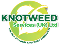 Tp knotweed solutions ltd