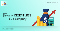 Debentures ltd