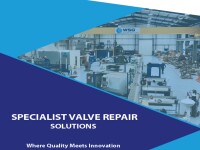 Wsg provalve limited