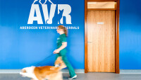 Aberdeen veterinary referrals limited