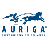 The auriga network