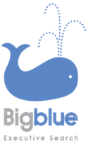 Bigblue executive search