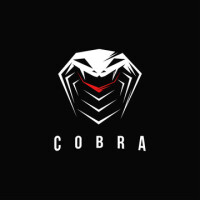 Cobra investigation consultants