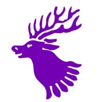 Daiglen school trust limited(the)